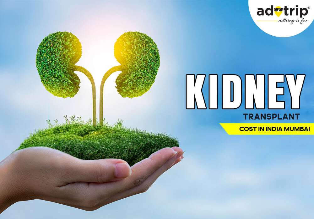 kidney transplant cost in mumbai